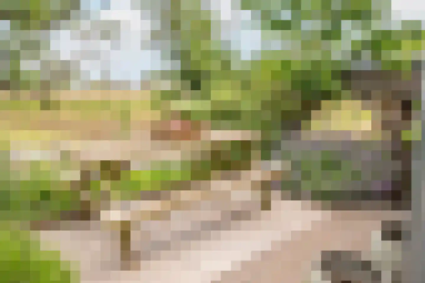 Lagecampseweg 4 Ochten thumbnail 74