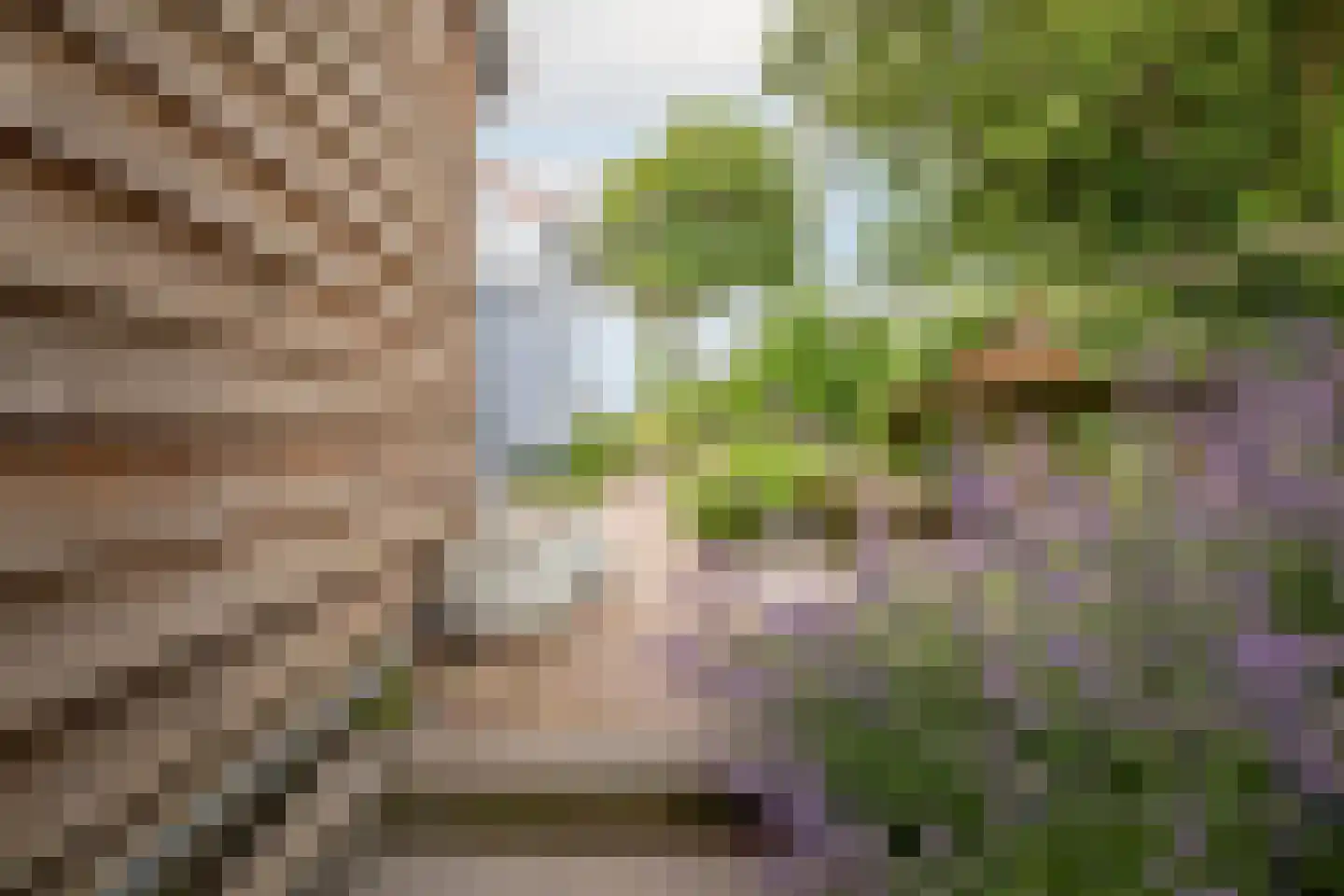 Lagecampseweg 4 Ochten thumbnail 75