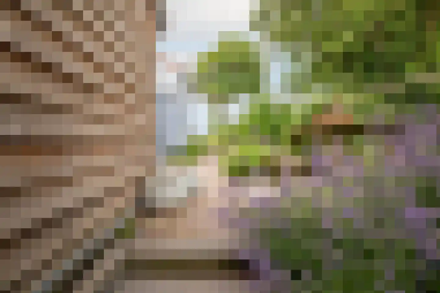Lagecampseweg 4 Ochten thumbnail 75