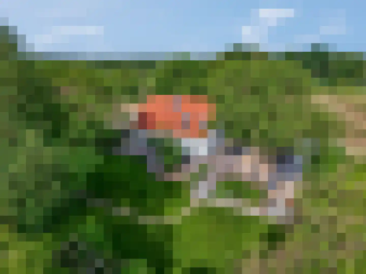 Lagecampseweg 4 Ochten thumbnail 78