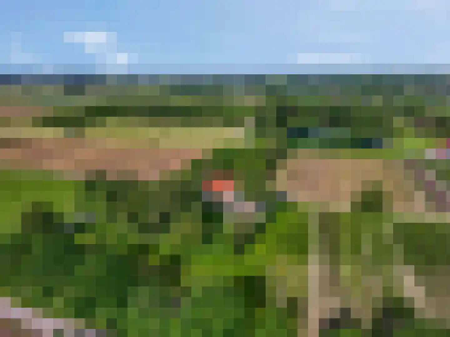 Lagecampseweg 4 Ochten thumbnail 79