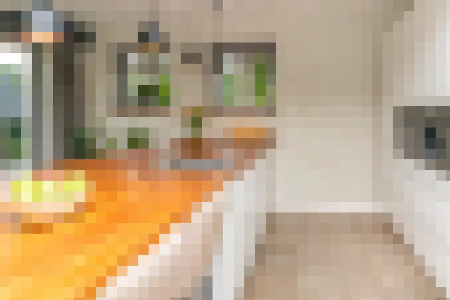 Lagecampseweg 4 Ochten thumbnail 84