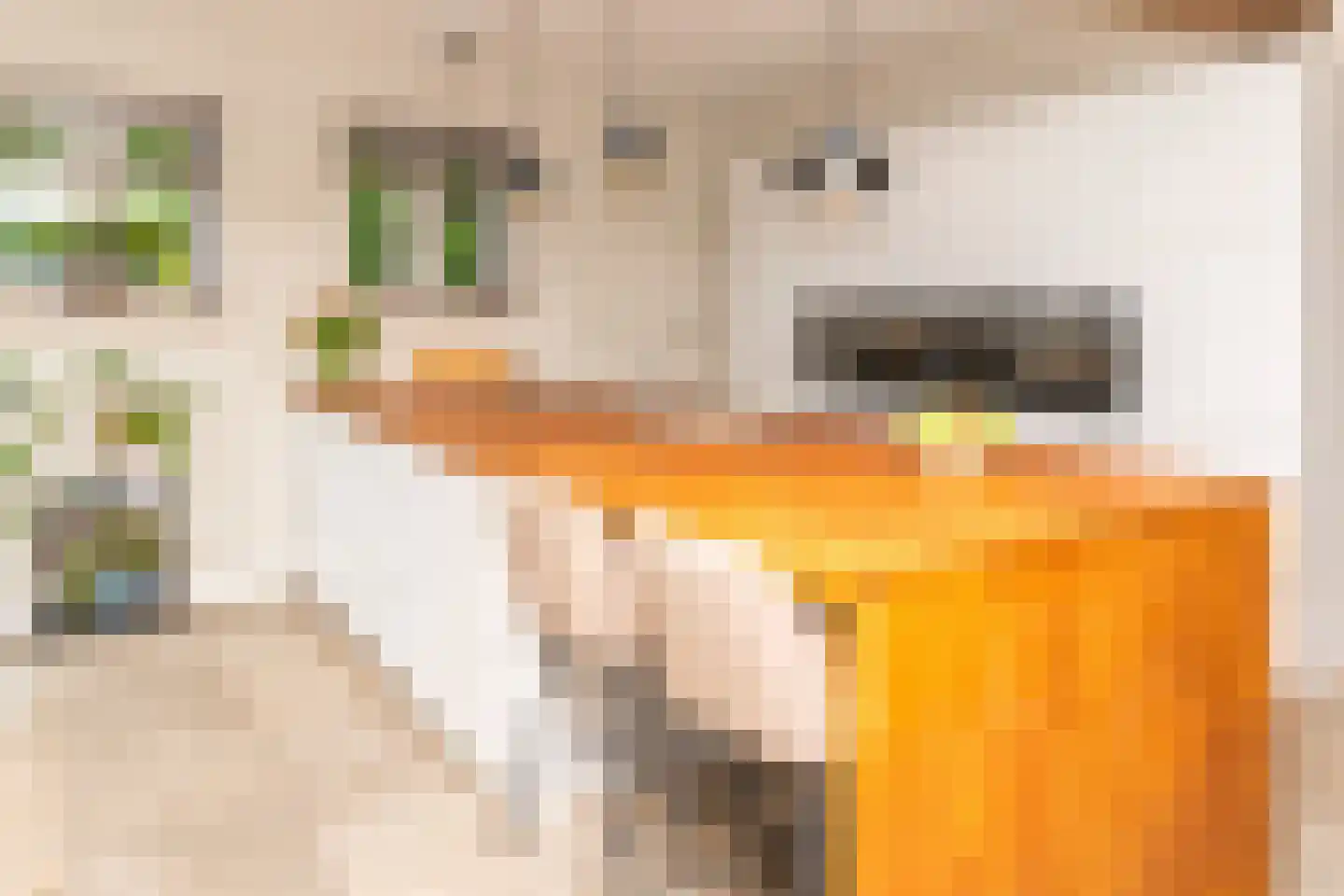 Lagecampseweg 4 Ochten thumbnail 85