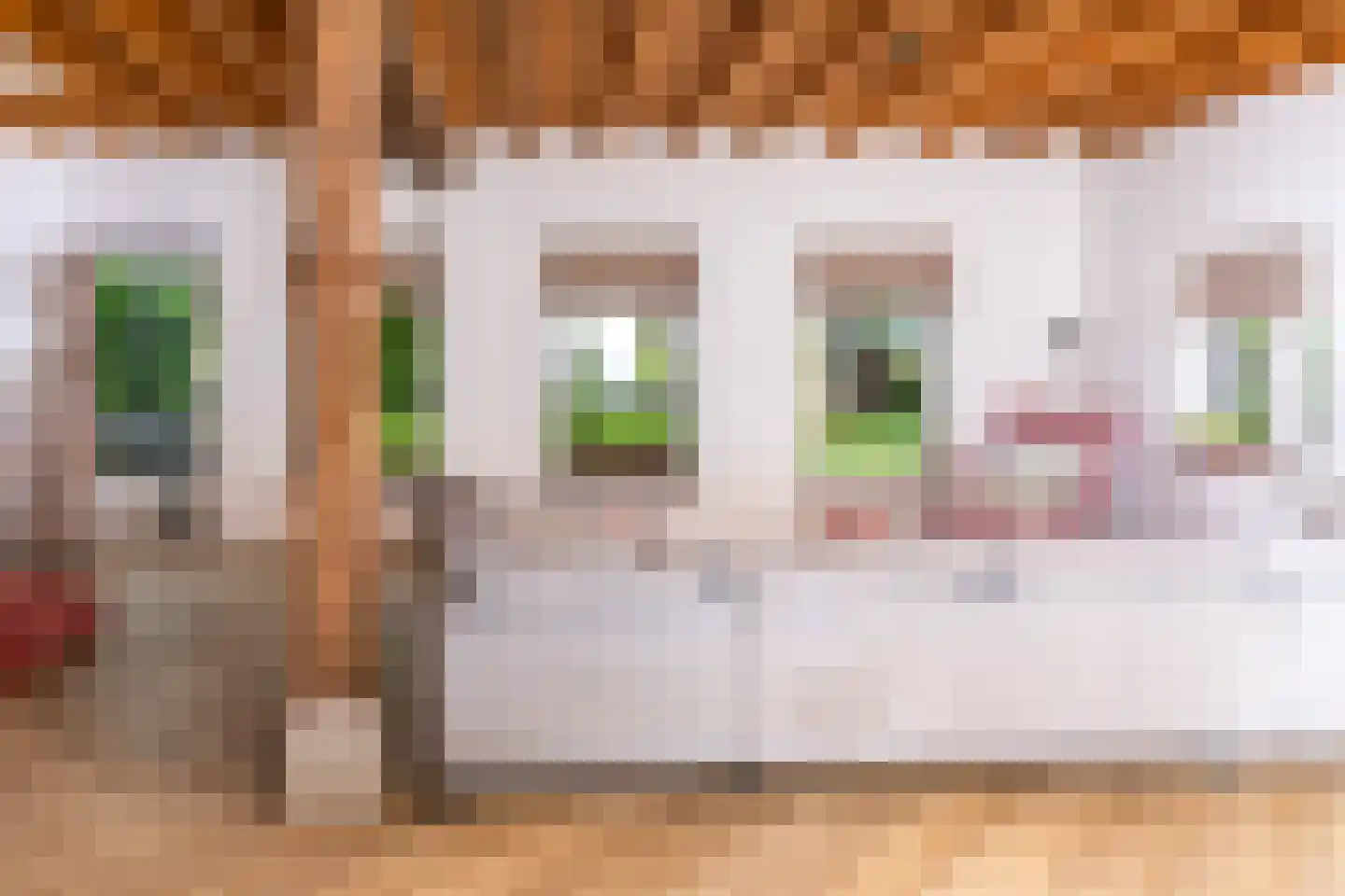 Lagecampseweg 4 Ochten thumbnail 86