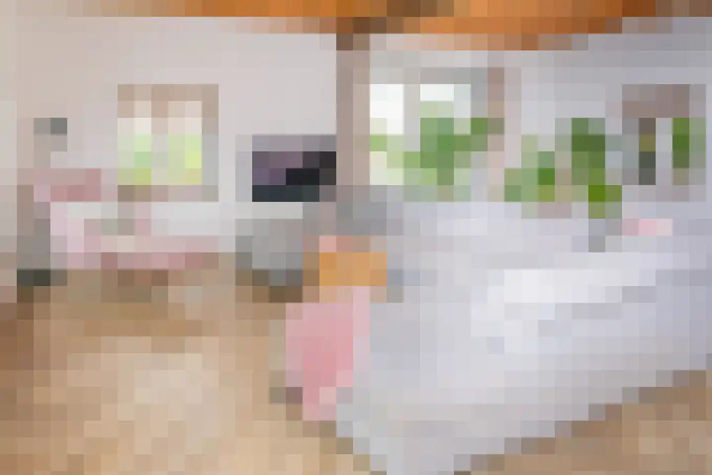 Lagecampseweg 4 Ochten thumbnail 87