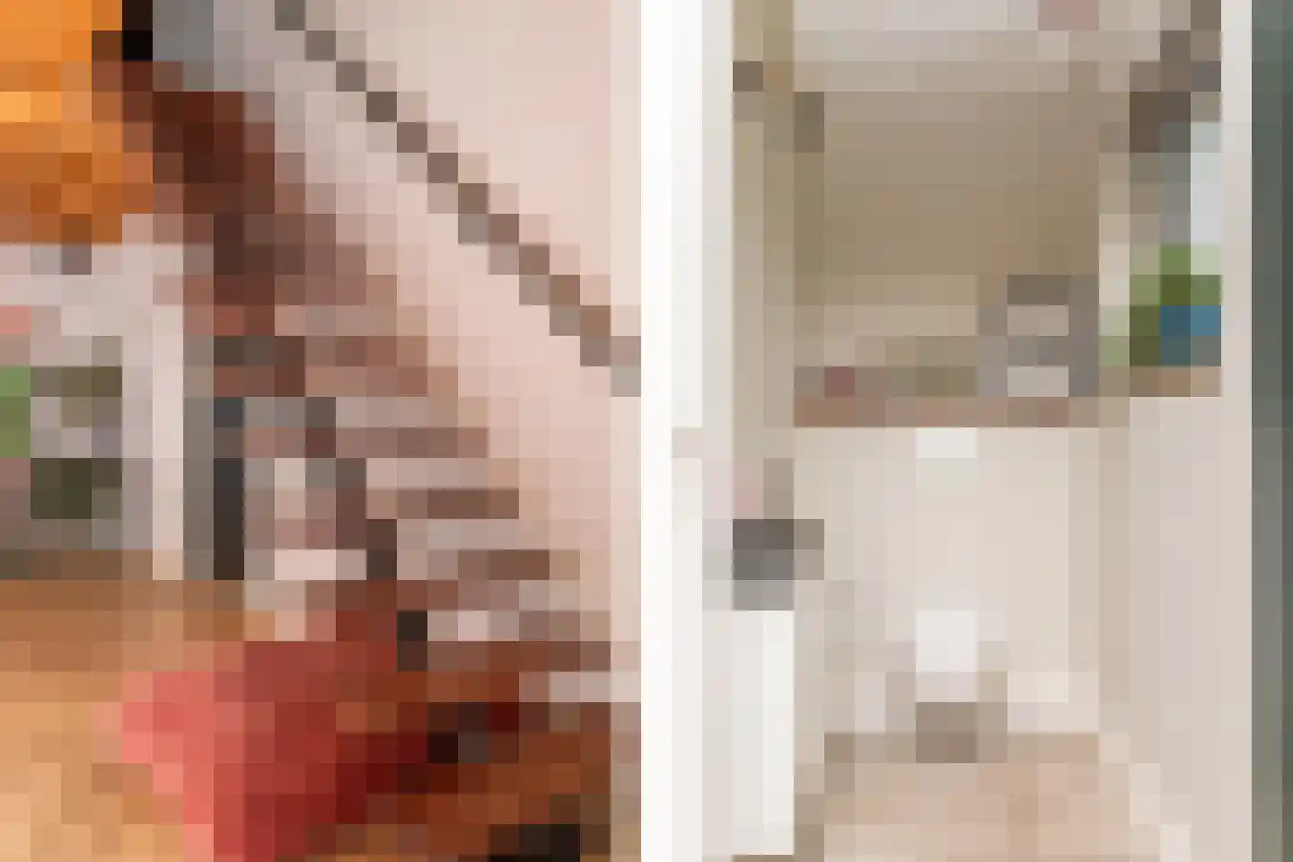 Lagecampseweg 4 Ochten thumbnail 89