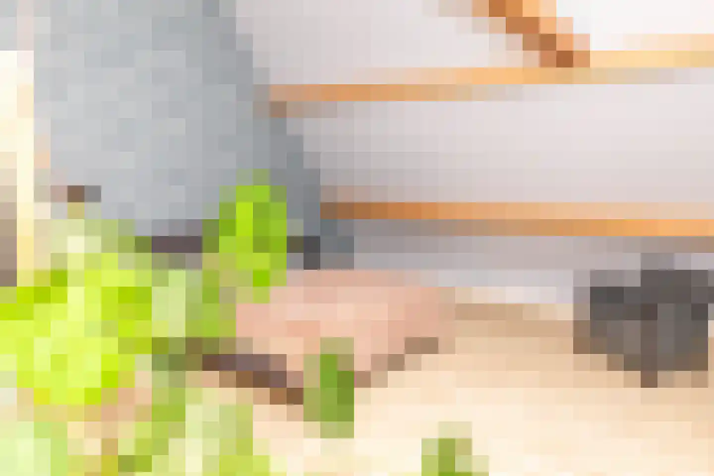 Lagecampseweg 4 Ochten thumbnail 90