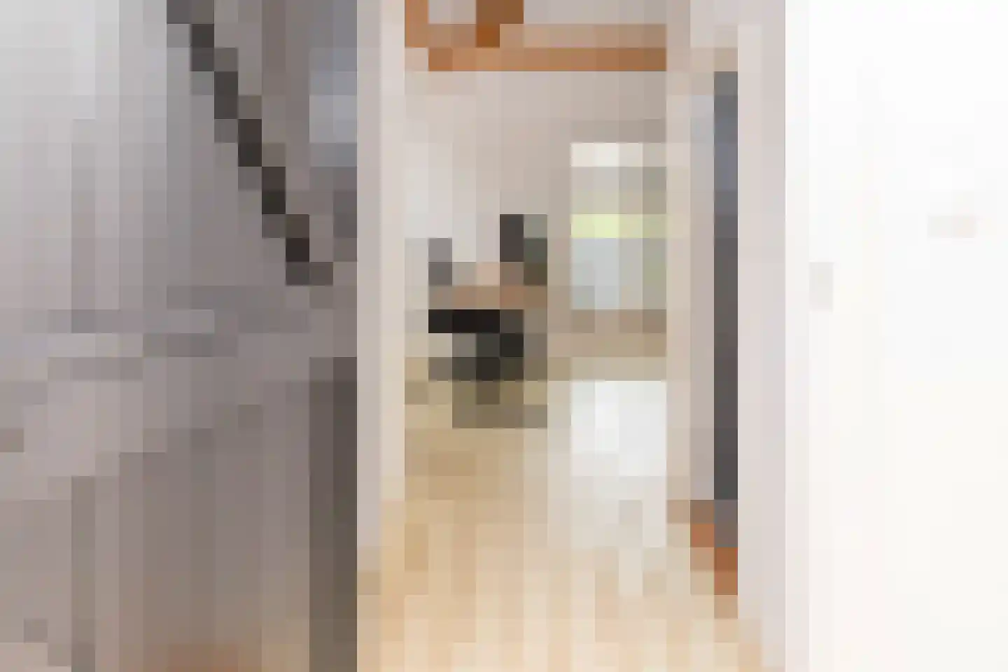 Lagecampseweg 4 Ochten thumbnail 92