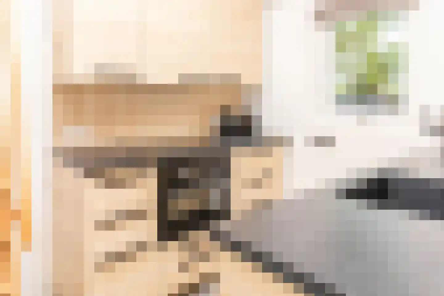 Lagecampseweg 4 Ochten thumbnail 97