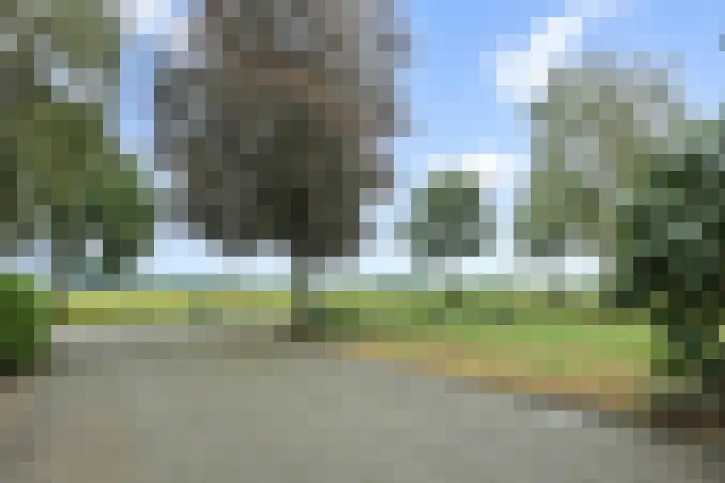 Lagedijk 1 Beek en Donk thumbnail 15