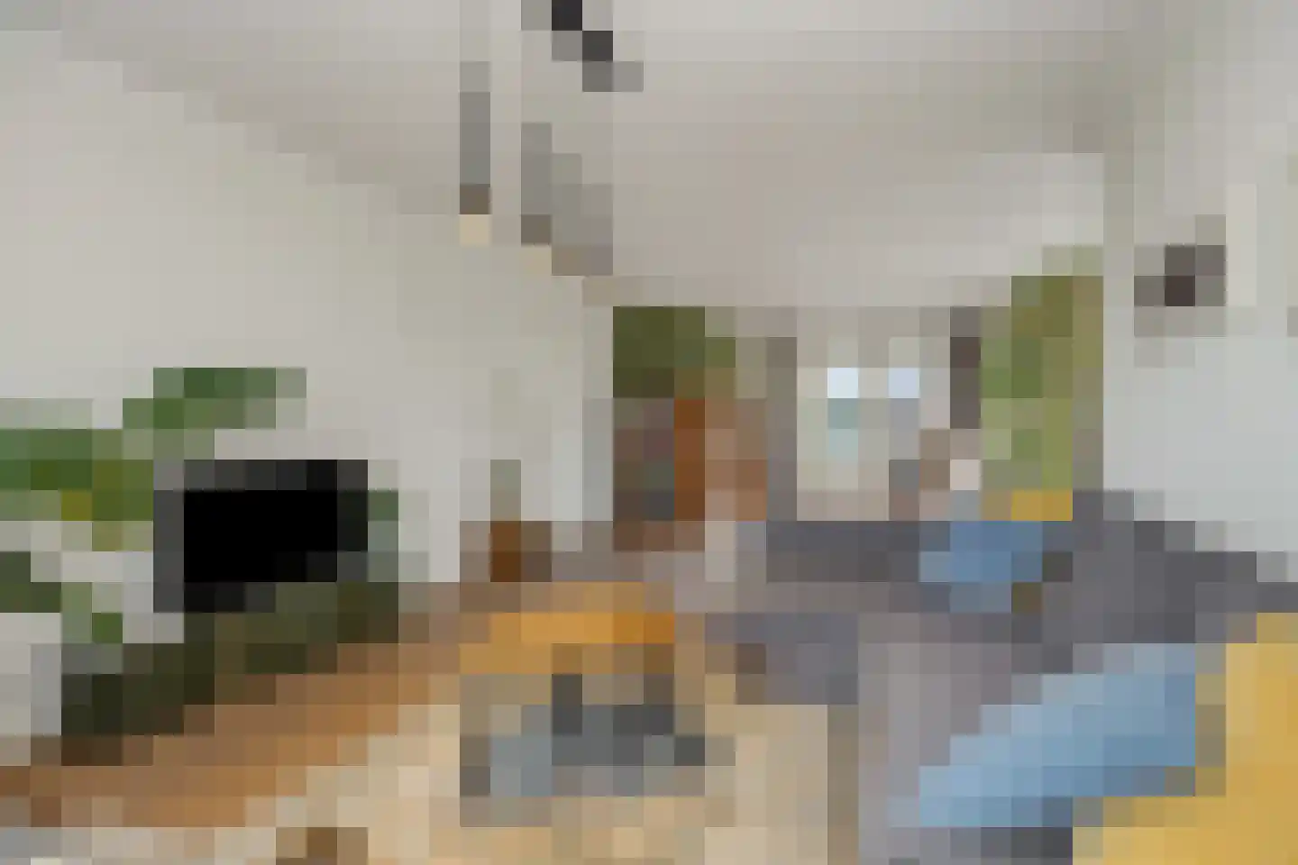 Lagedijk 1 Beek en Donk thumbnail 19
