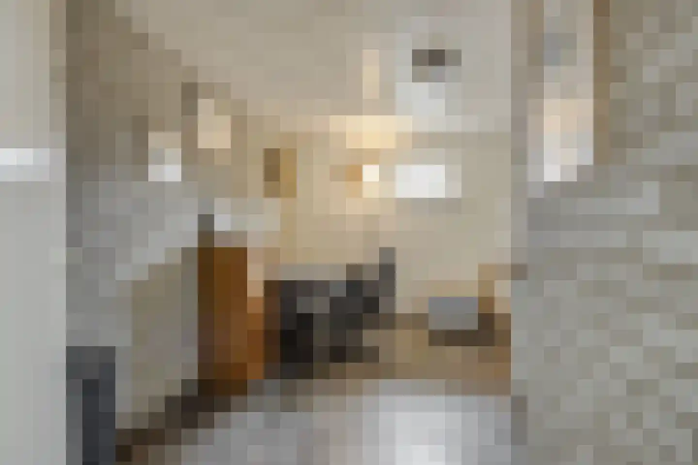 Lagedijk 1 Beek en Donk thumbnail 43