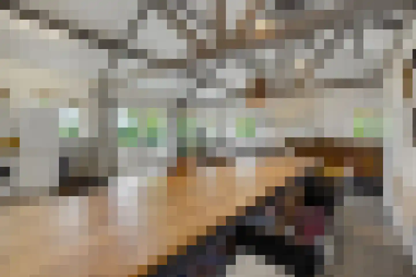 Lagedijk 1 Beek en Donk thumbnail 48