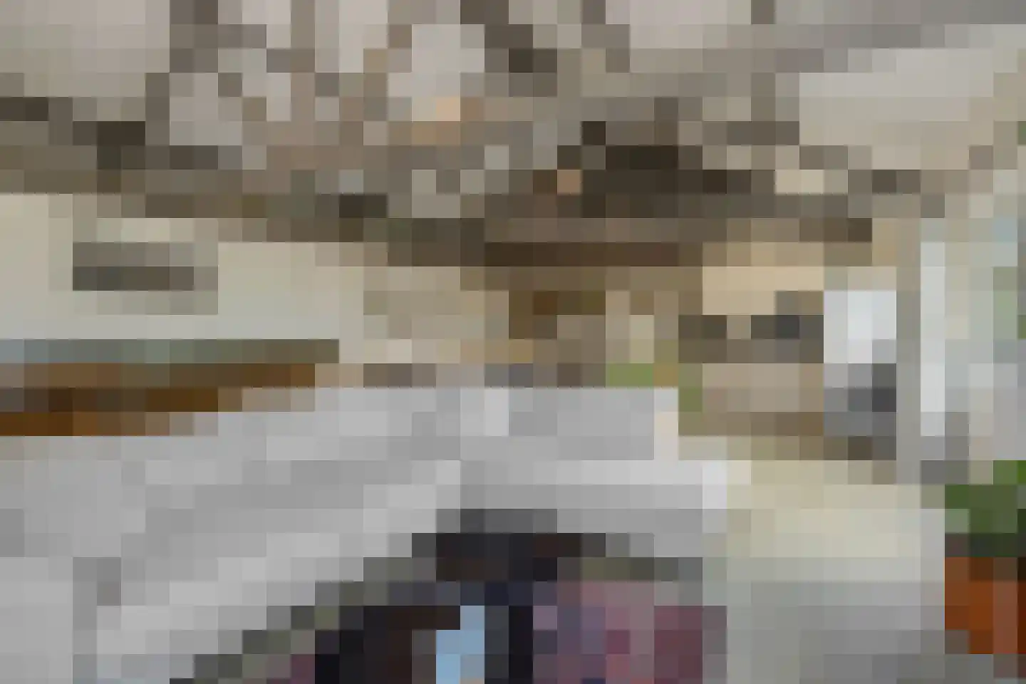 Lagedijk 1 Beek en Donk thumbnail 49