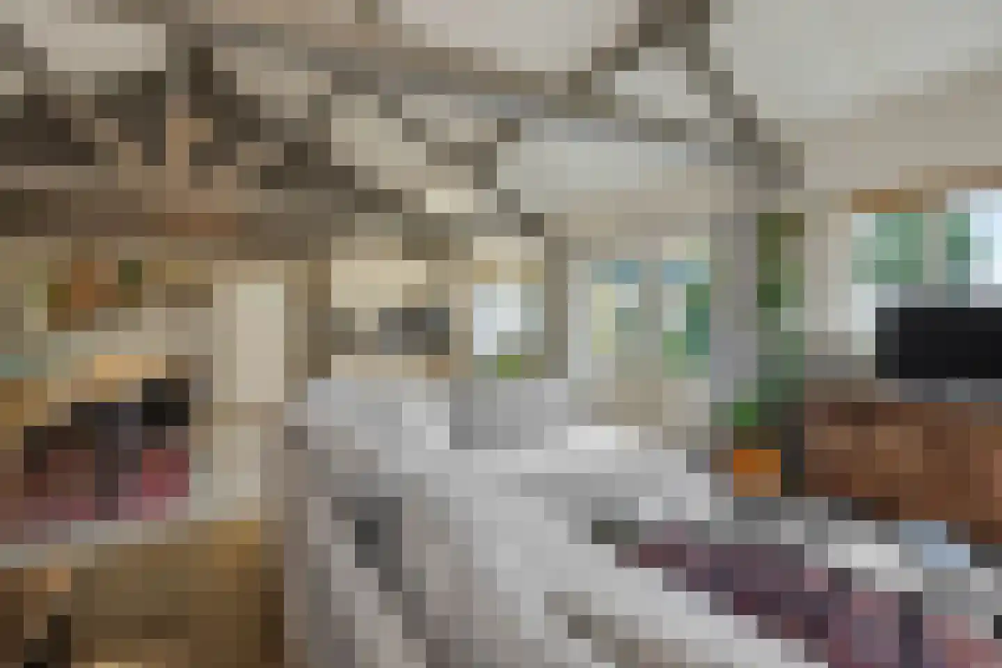 Lagedijk 1 Beek en Donk thumbnail 50