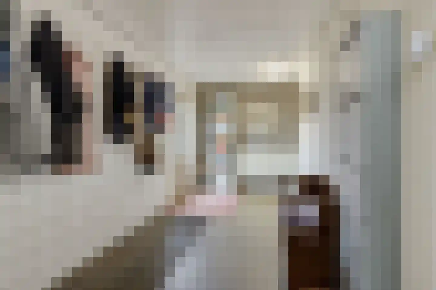 Lagedijk 1 Beek en Donk thumbnail 51