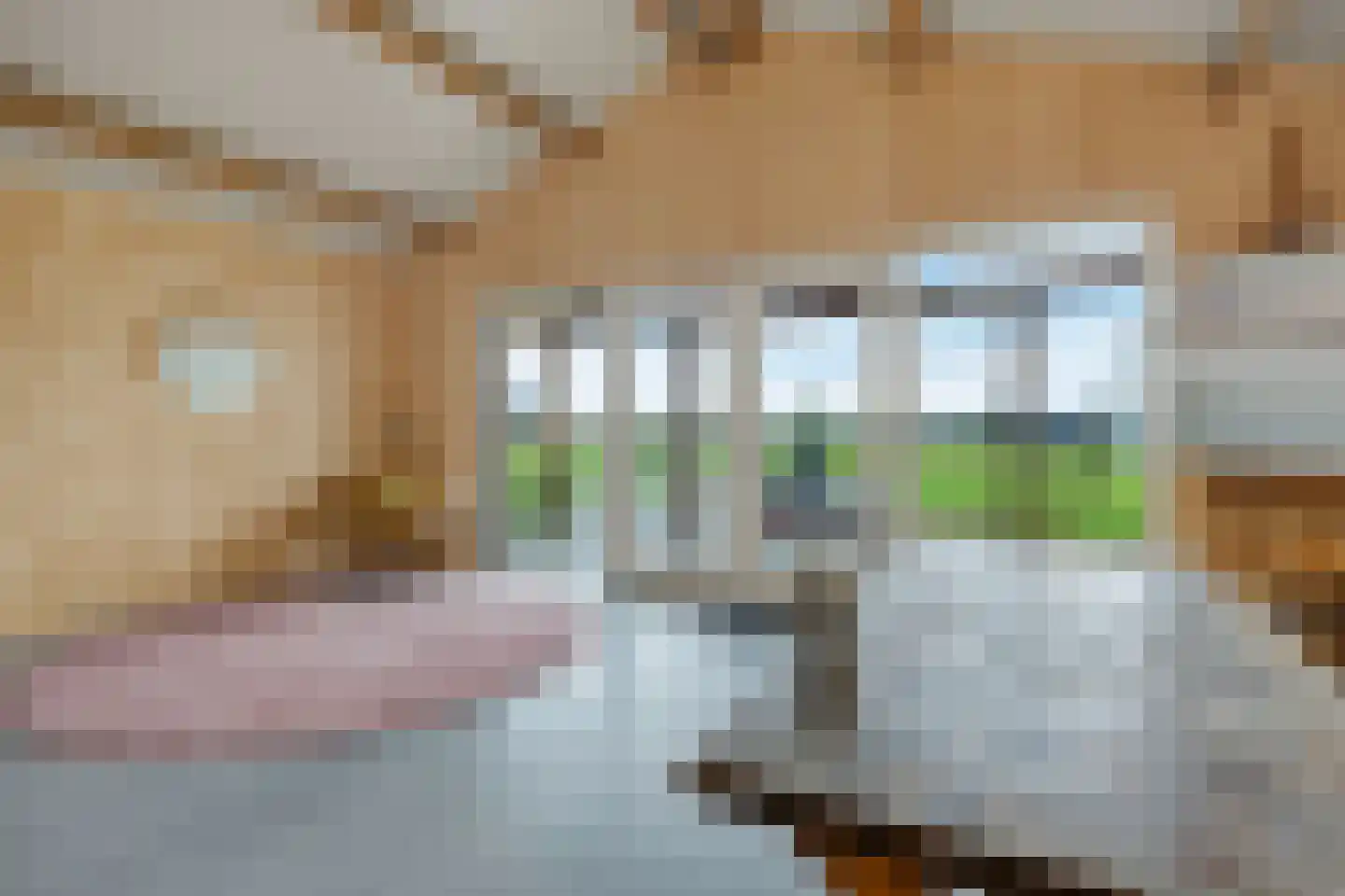 Lagedijk 1 Beek en Donk thumbnail 70