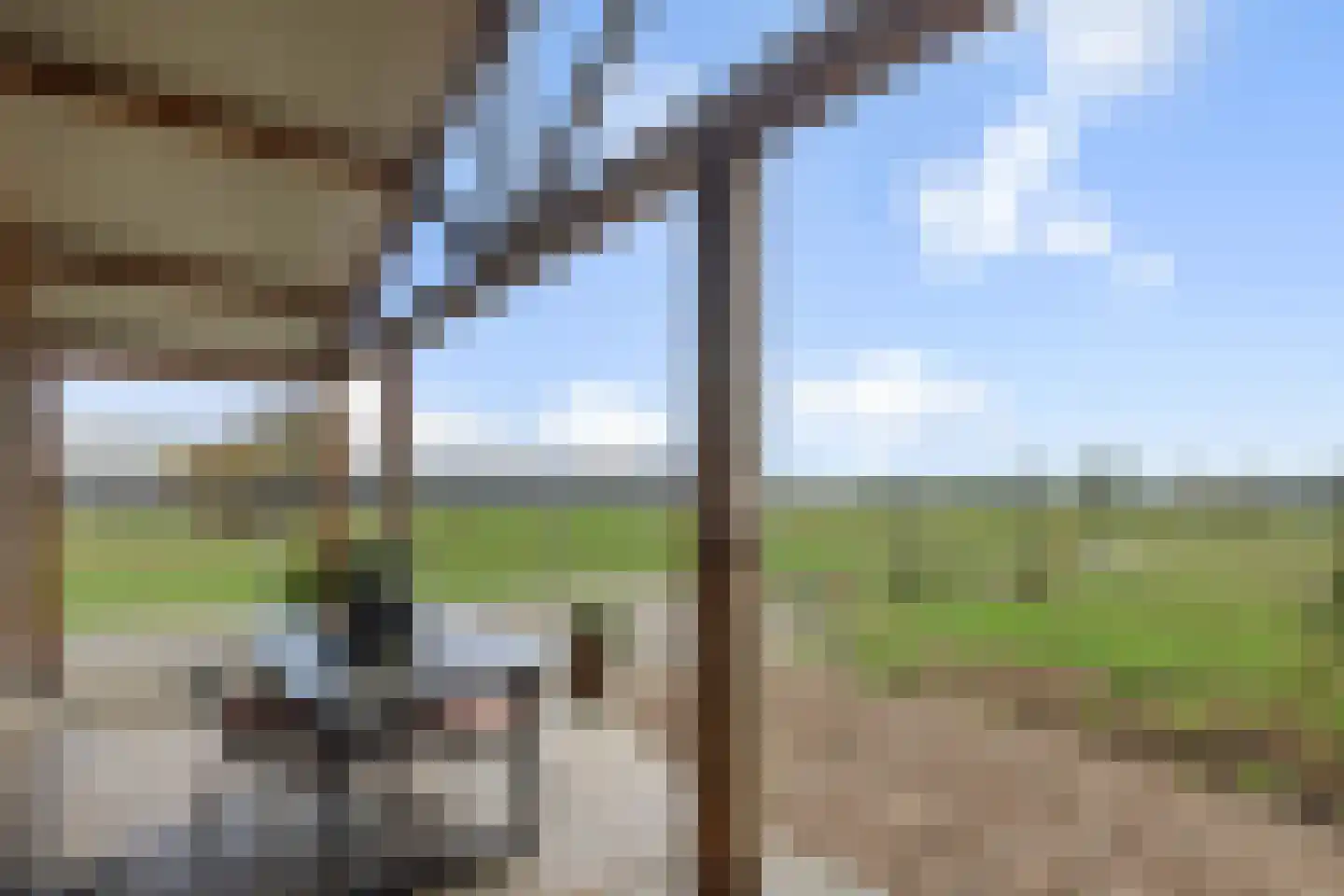 Lagedijk 1 Beek en Donk thumbnail 73