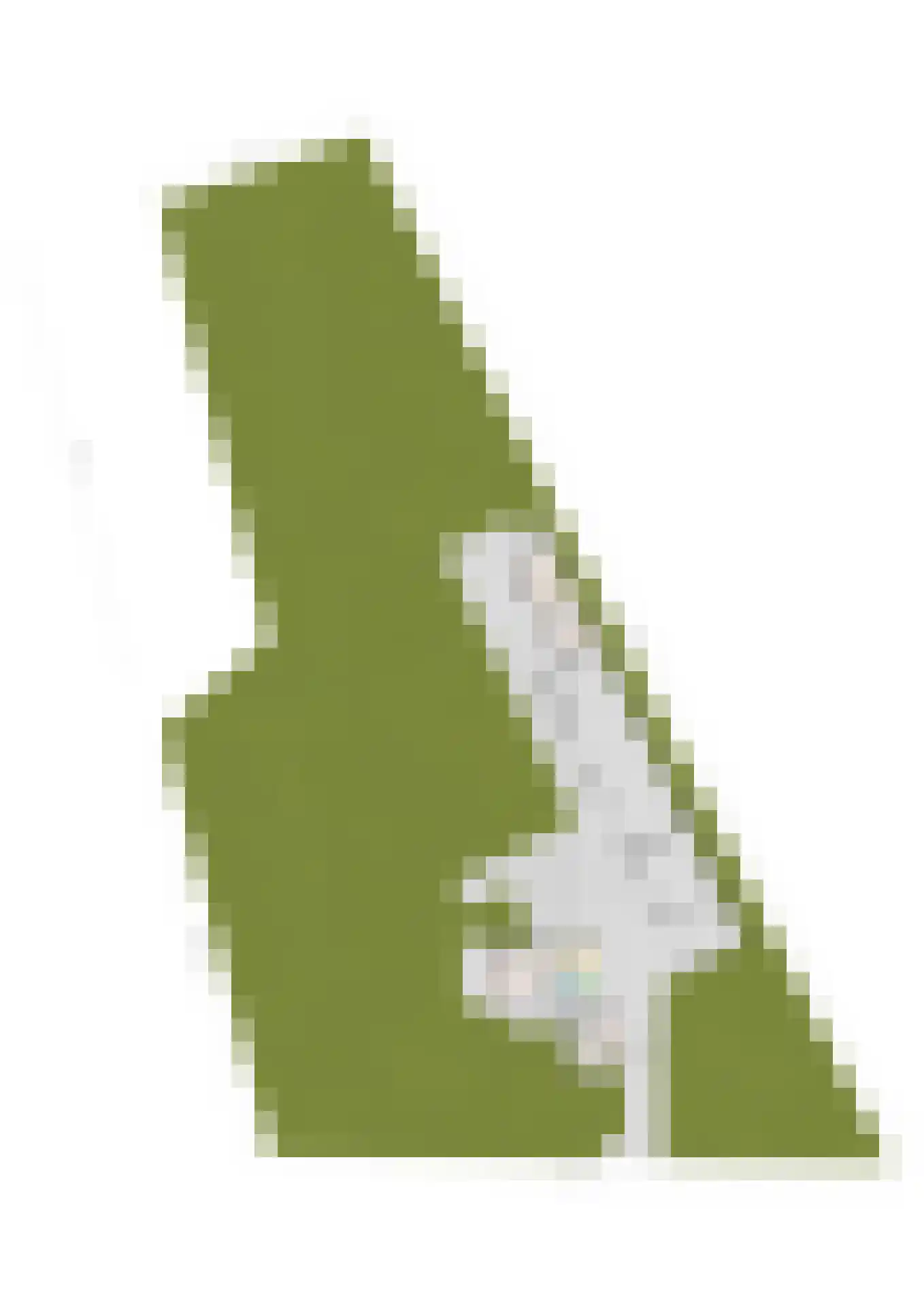 Lagedijk 1 Beek en Donk thumbnail 81