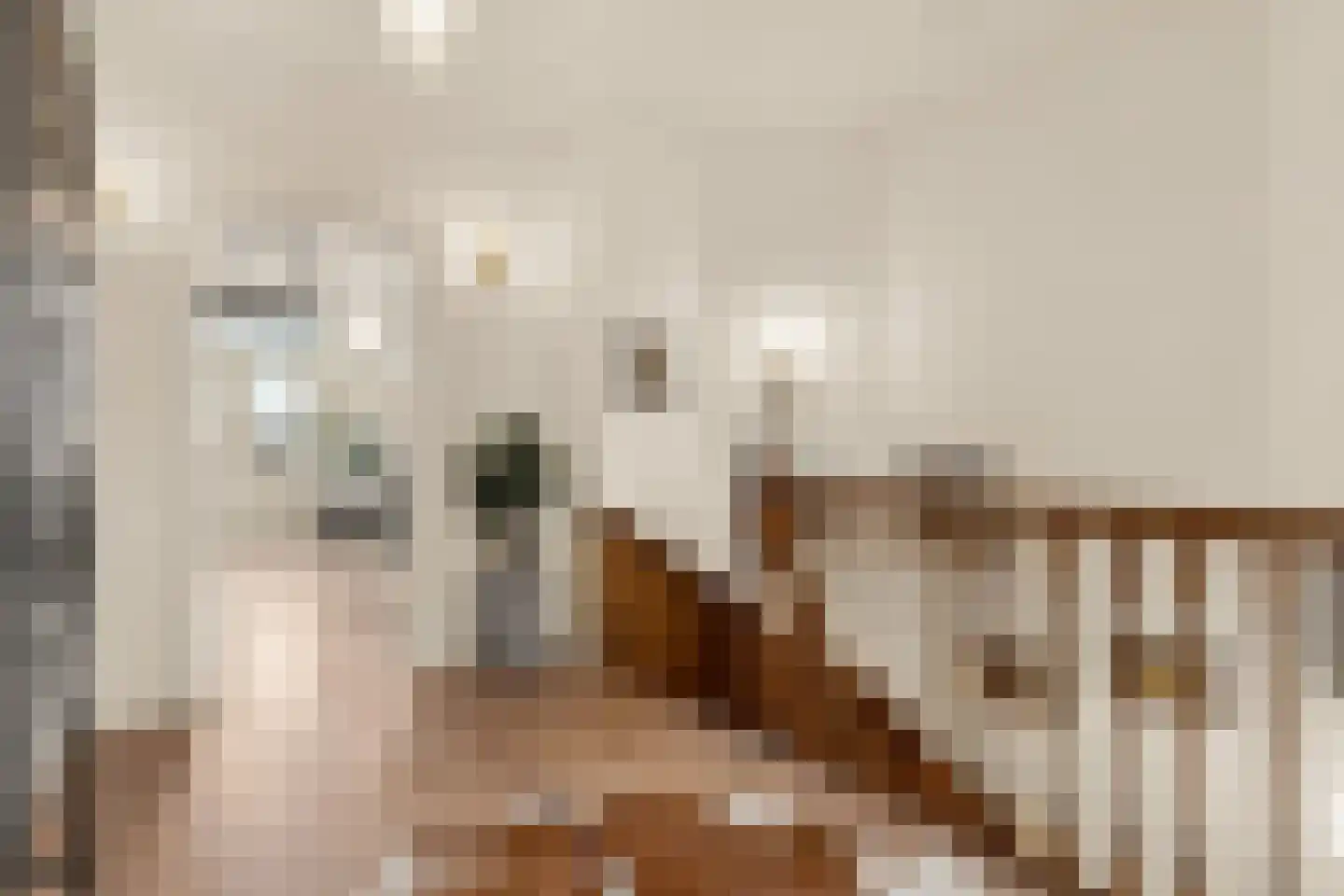 Lagedijk 12 B 2 Zaandijk thumbnail 11