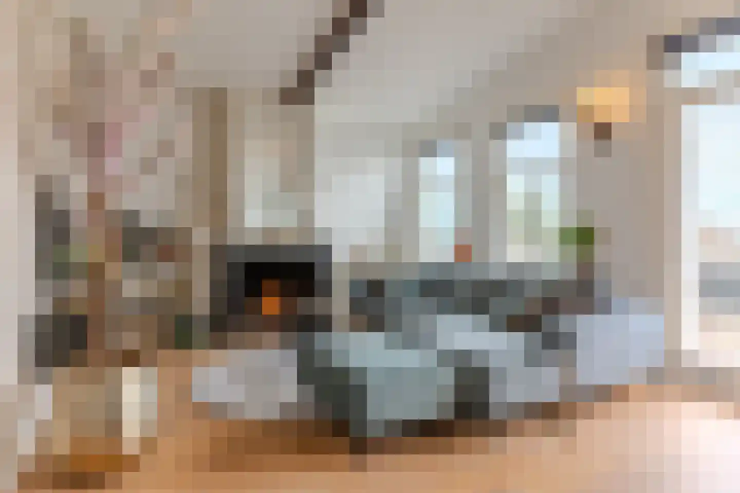 Lagedijk 12 B 2 Zaandijk thumbnail 15
