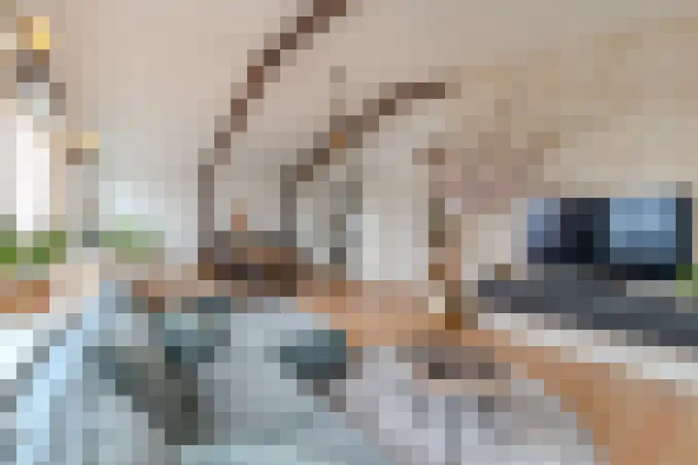 Lagedijk 12 B 2 Zaandijk thumbnail 18