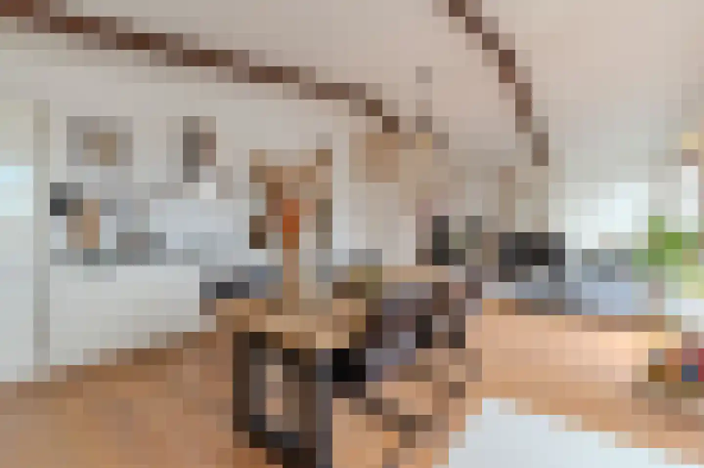 Lagedijk 12 B 2 Zaandijk thumbnail 19