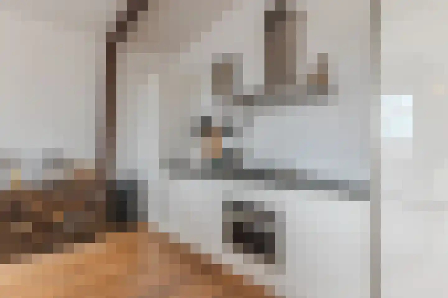 Lagedijk 12 B 2 Zaandijk thumbnail 22