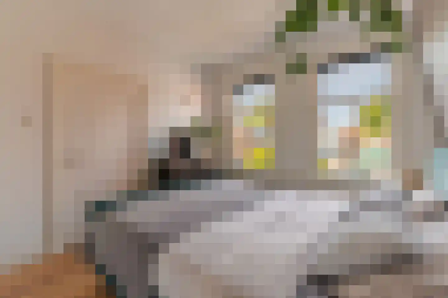 Lagedijk 12 B 2 Zaandijk thumbnail 31