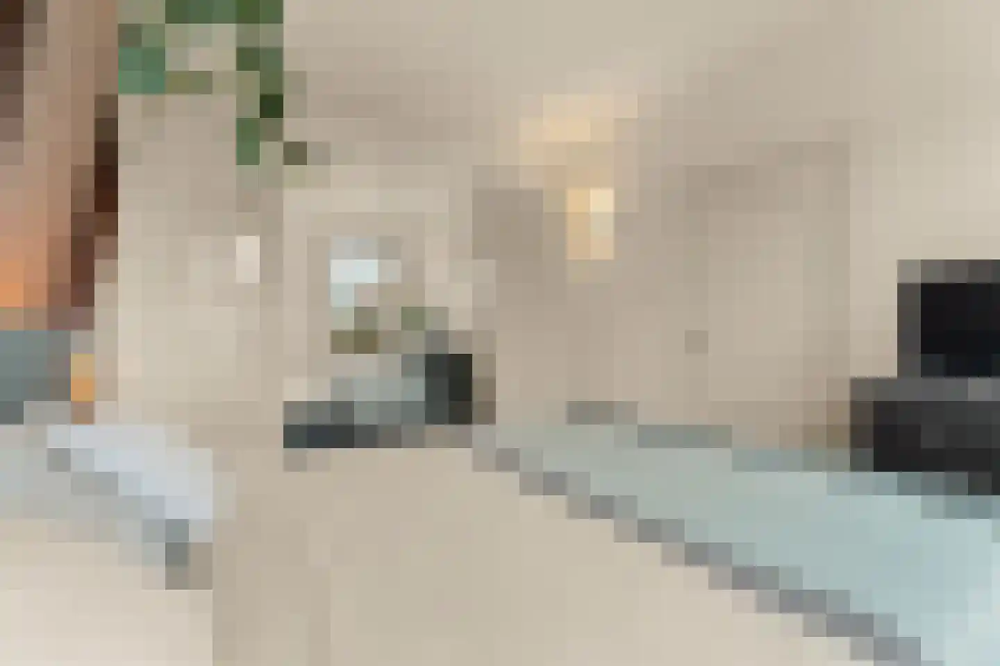 Lagedijk 12 B 2 Zaandijk thumbnail 32
