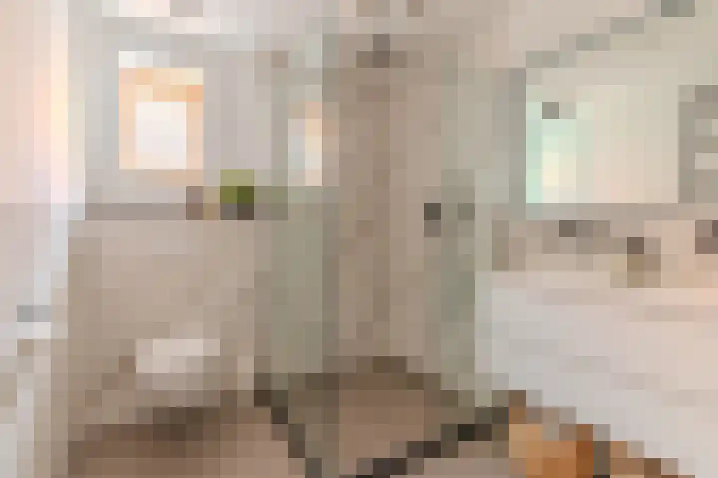 Lagedijk 12 B 2 Zaandijk thumbnail 34