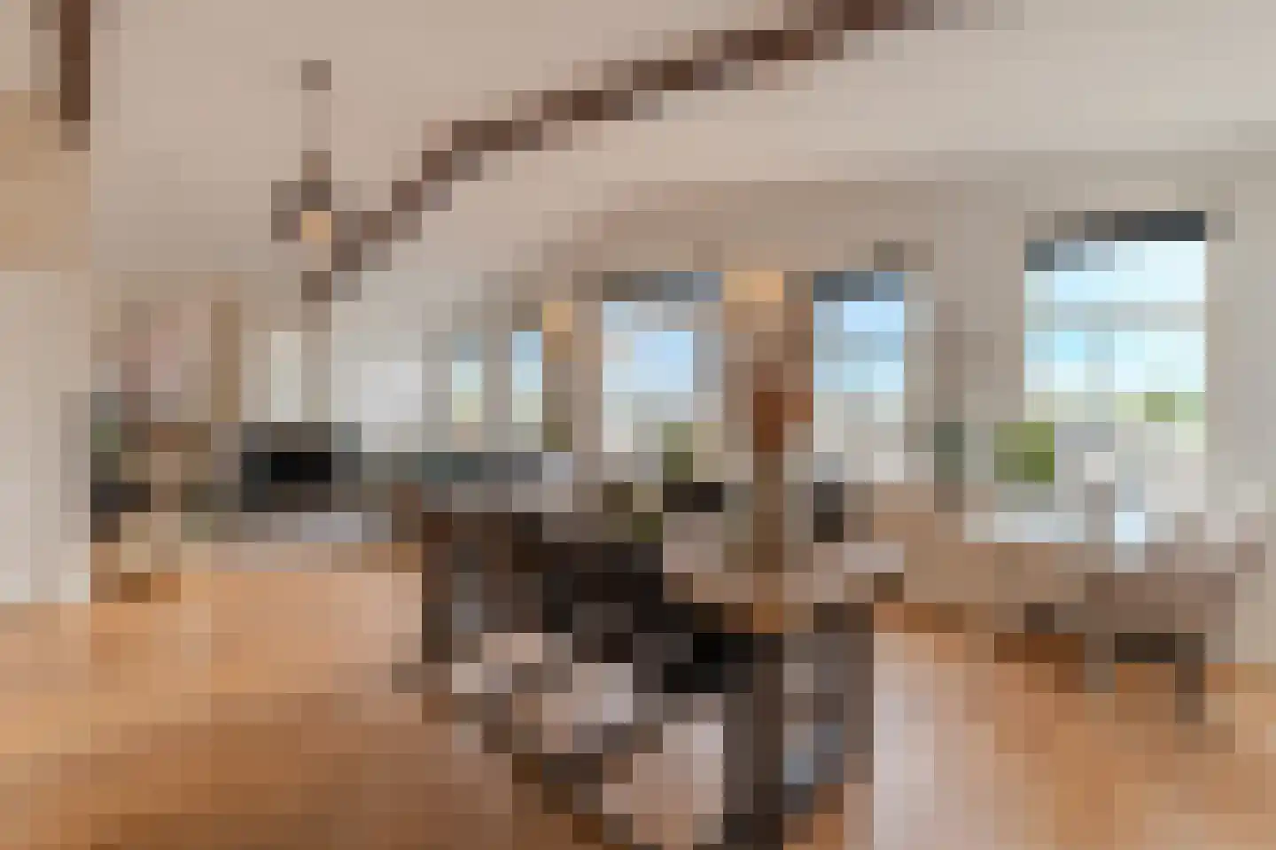 Lagedijk 12 B 2 Zaandijk thumbnail 5