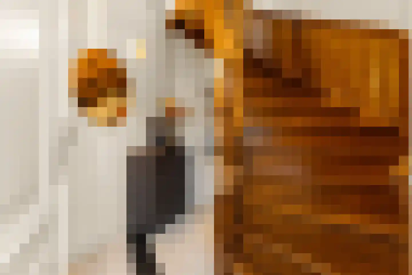 Lagedijk 12 B 2 Zaandijk thumbnail 7