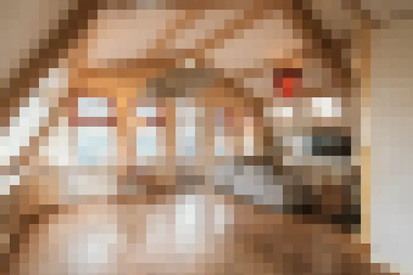 Lagedijk 12 C Zaandijk thumbnail 8