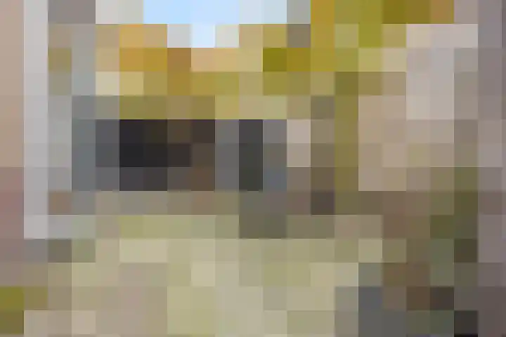 Lagedijk 13 B Zaandijk thumbnail 15