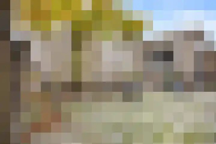Lagedijk 13 B Zaandijk thumbnail 16