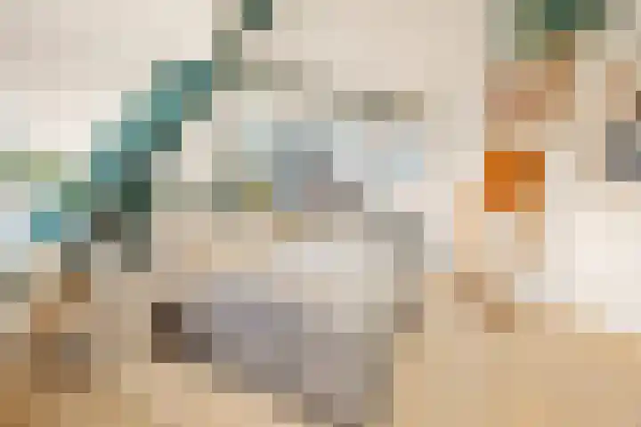 Lagedijk 13 B Zaandijk thumbnail 39