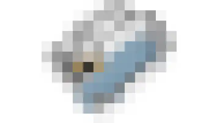 Lagedijk 13 B Zaandijk thumbnail 63