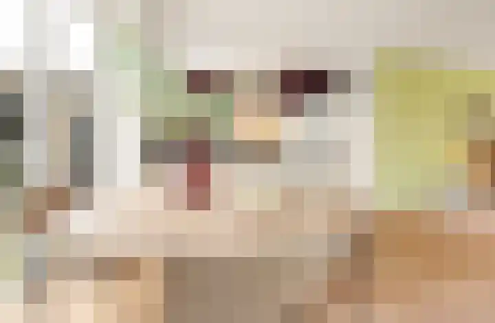 Lagedijk 13 B Zaandijk thumbnail 9