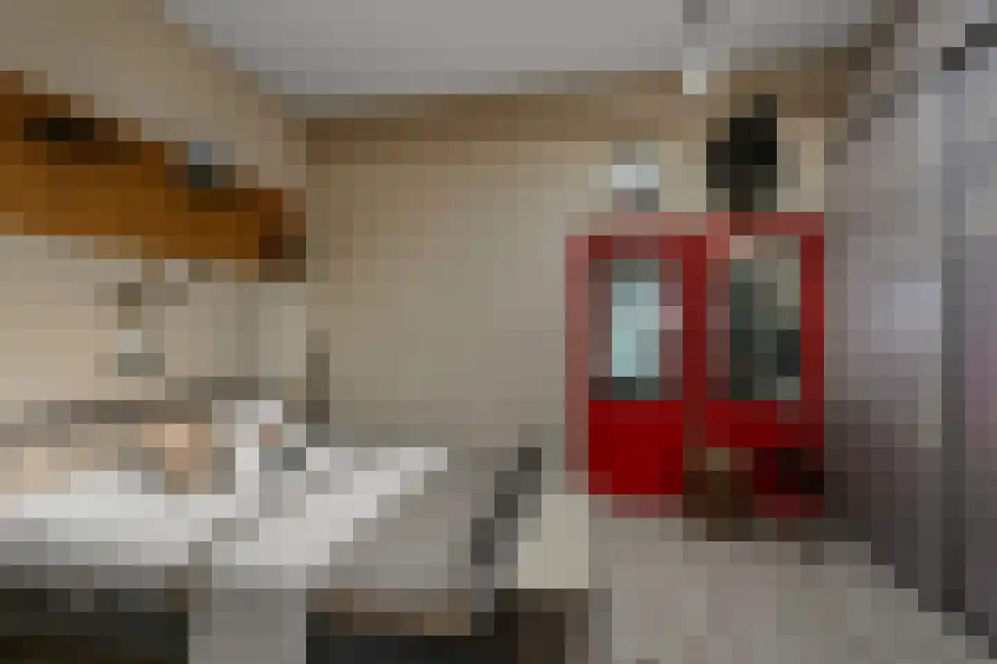 Lagedijk 174 Zaandijk thumbnail 29