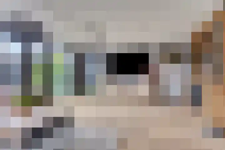 Lagedijk 21 Heerhugowaard thumbnail 11