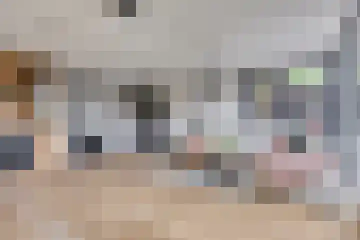 Lagedijk 21 Heerhugowaard thumbnail 12
