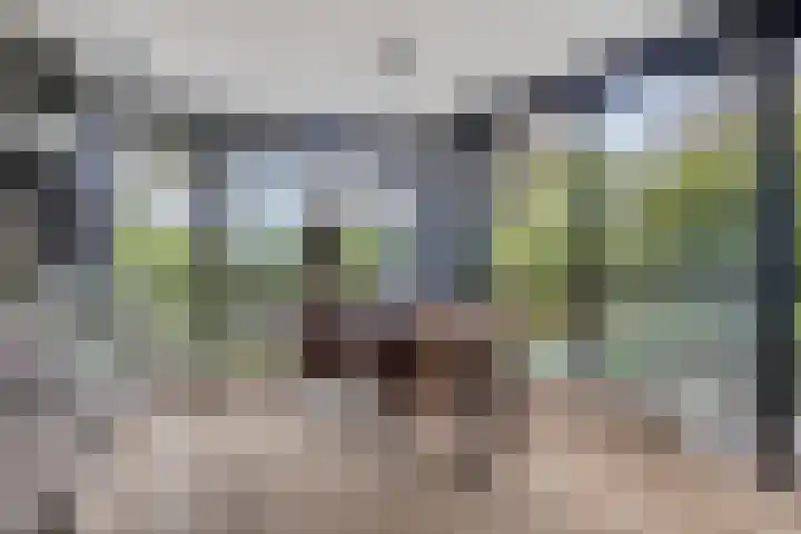 Lagedijk 21 Heerhugowaard thumbnail 15