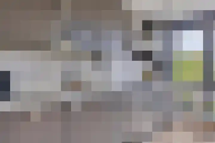 Lagedijk 21 Heerhugowaard thumbnail 18