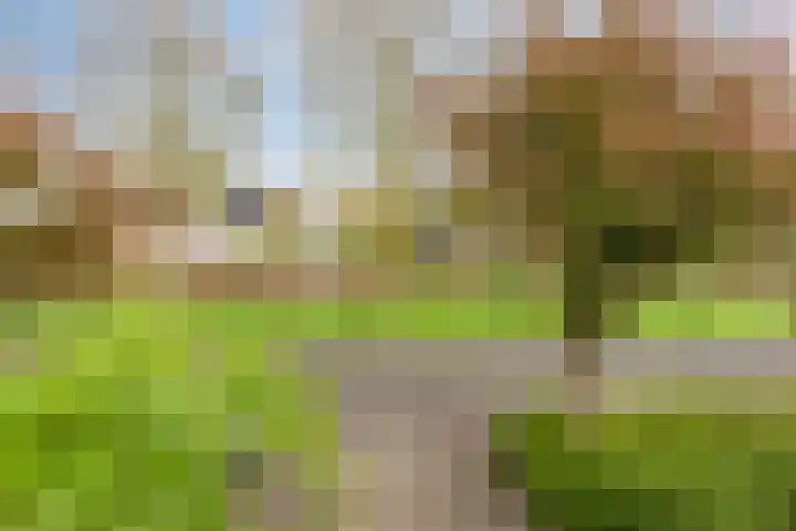 Lagedijk 21 Heerhugowaard thumbnail 28