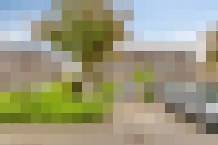 Lagedijk 21 Heerhugowaard thumbnail 36