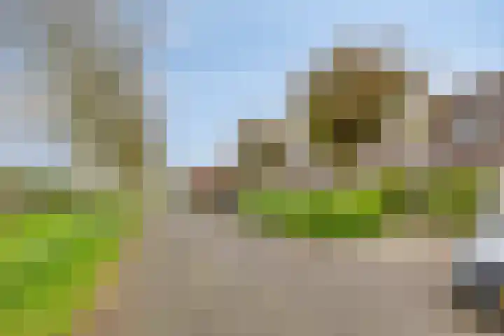 Lagedijk 21 Heerhugowaard thumbnail 37