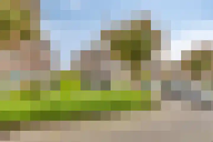 Lagedijk 21 Heerhugowaard thumbnail 38