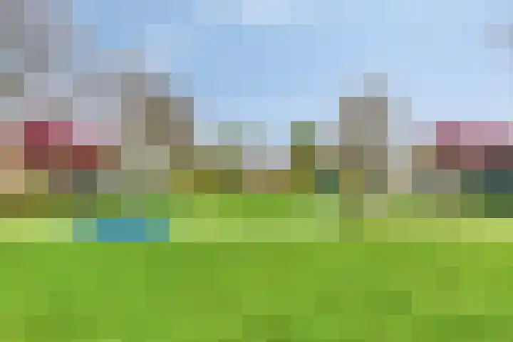 Lagedijk 21 Heerhugowaard thumbnail 40