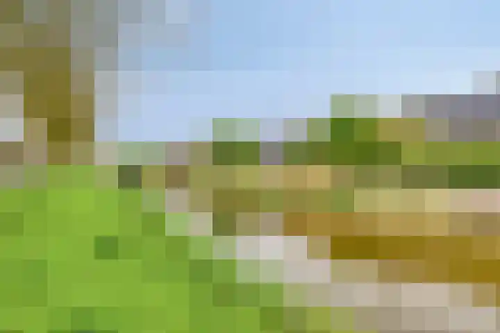 Lagedijk 21 Heerhugowaard thumbnail 41